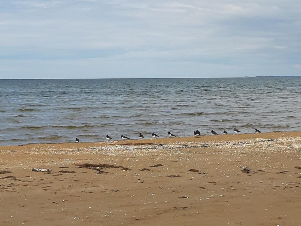 Strandlaege Skummeslovsstrand Εξωτερικό φωτογραφία